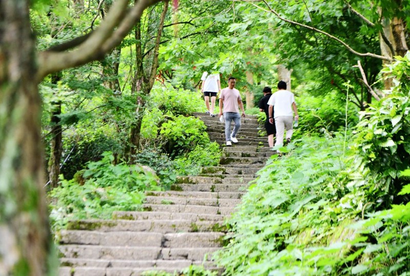 PG电子官方网站旅居凯里 享受生活(图4)